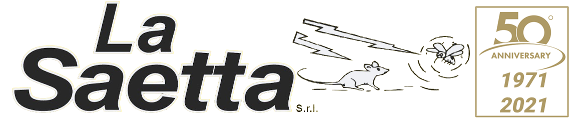 La Saetta