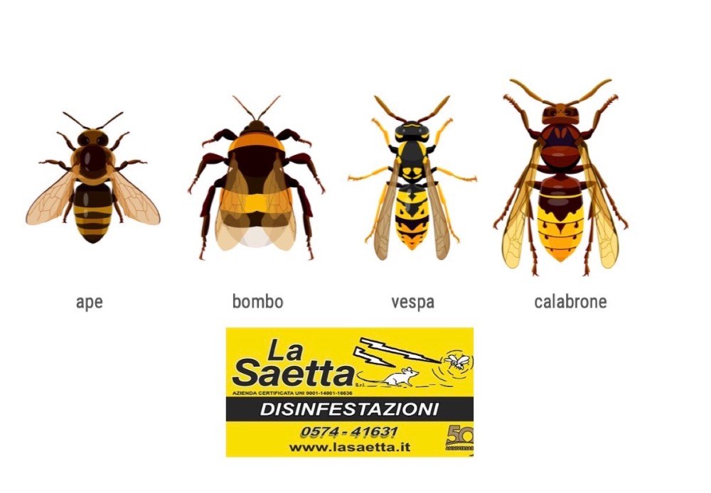I CALABRONI